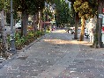 clicca per ingrandire l'immagine